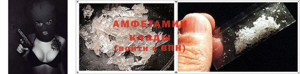 прущие грибы Киренск