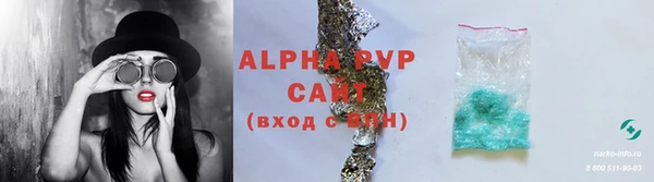 прущие грибы Киренск
