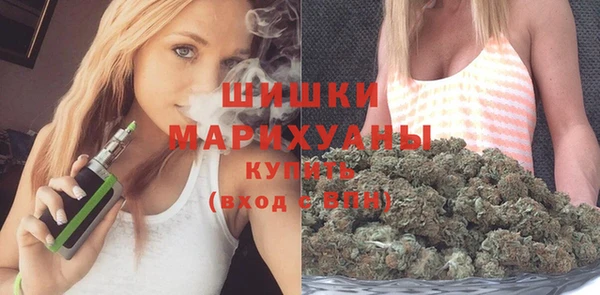 прущие грибы Киренск