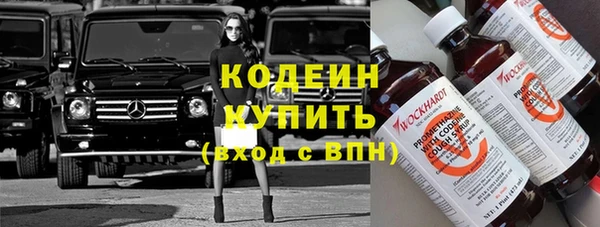 прущие грибы Киренск