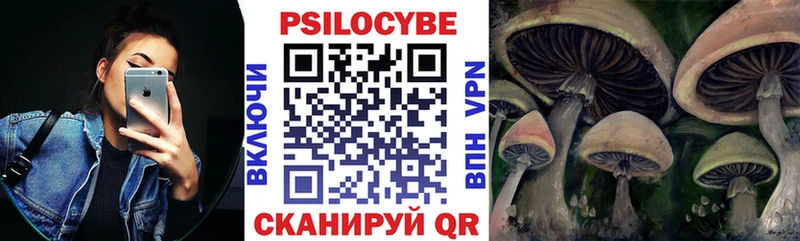 Псилоцибиновые грибы прущие грибы Киренск