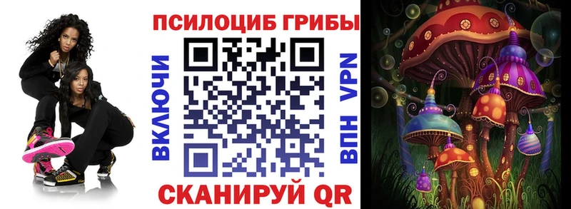 Купить  Киренск  Псилоцибиновые грибы Magic Shrooms 
